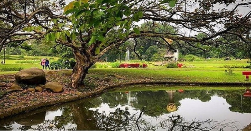 5 Hal Tentang Pengetahuan dan Riset yang Bisa Dilakukan di Kebun Raya Bogor