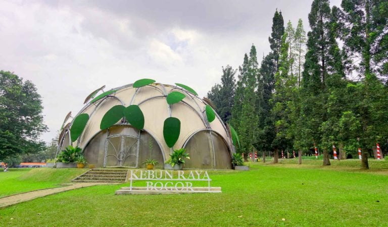 Selain Eduwisata, Inilah 5 Topik Riset Yang Bisa Kamu Lakukan di Kebun Raya Bogor