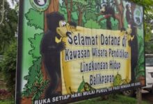 10 Fakta Balikpapan yang Miliki Maskot Beruang Madu 3 befunky 2022 6 3 17 9 451 e1733978326311