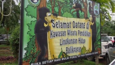 befunky 2022 6 3 17 9 451 e1733978326311