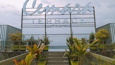 2021 12 15 e1734448109680