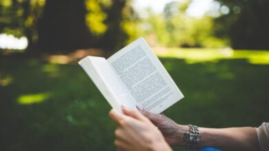 book geae5a2fbb 1280 e1734418905459