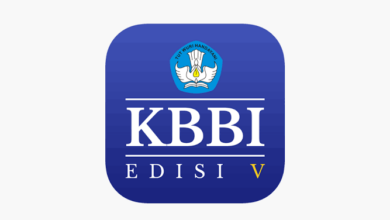 images 1 e1734419261545