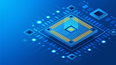 5113519 scaled e1735200157929