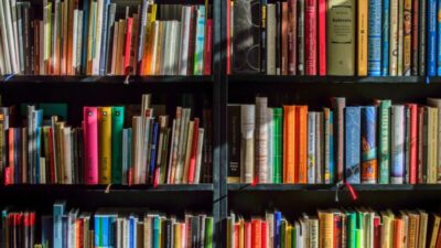 books bookstore book reading 159711 e1734426133145