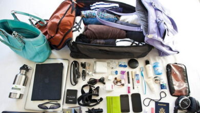 packing1 660x405 1 e1733930433499