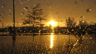 rain 56f800954df9fda708360862 scaled e1662865343451