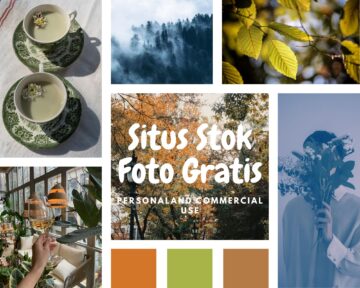Green Aesthetic Minimalist Mood Board Photo Collage