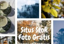 Green Aesthetic Minimalist Mood Board Photo Collage e1734445604696