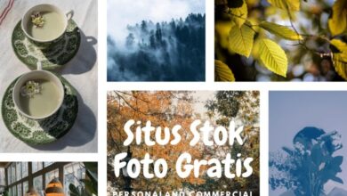 Green Aesthetic Minimalist Mood Board Photo Collage e1734445604696