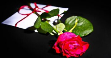 rose 1556902 960 720 e1665278583765