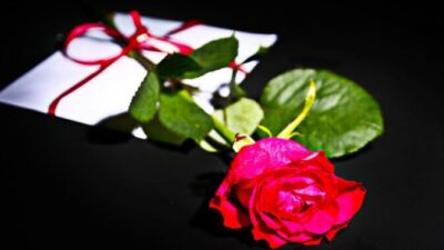 rose 1556902 960 720 e1665278583765