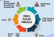 IMG 20220802 095623 1024x792 1 e1734447990639