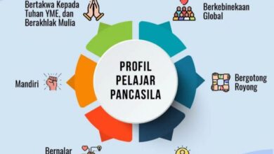 IMG 20220802 095623 1024x792 1 e1734447990639