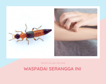 MUSIM HUJAN DATANG e1667803292396