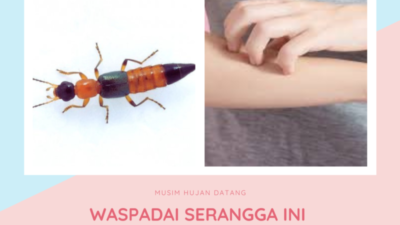 MUSIM HUJAN DATANG e1667803292396