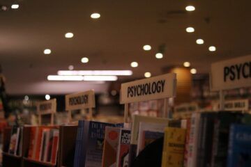 bekel sego 2 e1667315081570