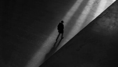 pexels bob price 764880 1 1 scaled e1734274221332