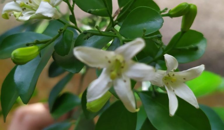 IMG 20221102 124459 scaled e1671330501189