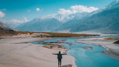 nature 2990060 1280 e1734357549253