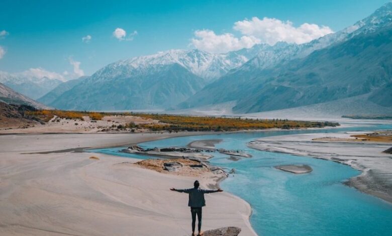 nature 2990060 1280 e1734357549253