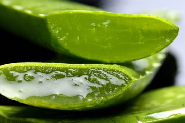 aloe g3f9d628e6 1920 e1672754872537
