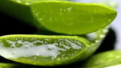 aloe g3f9d628e6 1920 e1672754872537