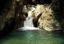 1413336810760009621 e1733848094826