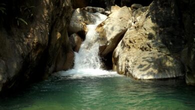 1413336810760009621 e1733848094826