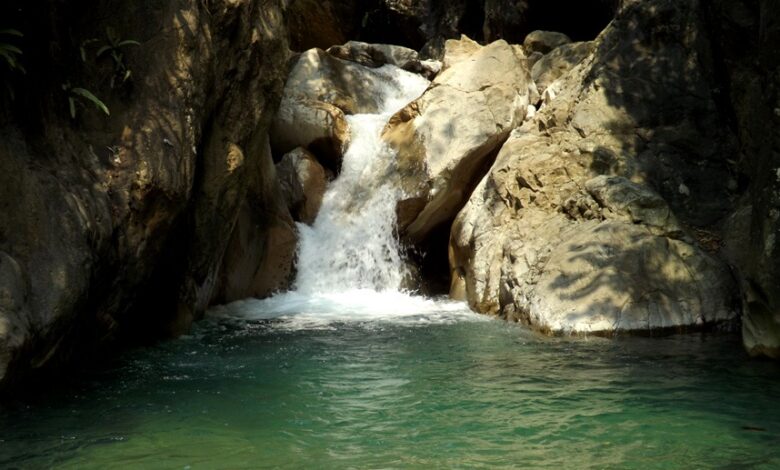 1413336810760009621 e1733848094826