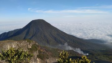 Taman Nasional Gunung Gede Pangrango. Foto Gmap Abhi Supryandi e1677159973162