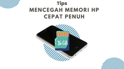 Tips e1734448513931