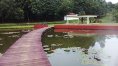 WhatsApp Image 2023 03 03 at 15.55.13 e1734017370507