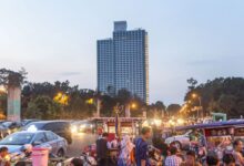 burit e1740755604845