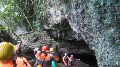 image9 e1733761955621