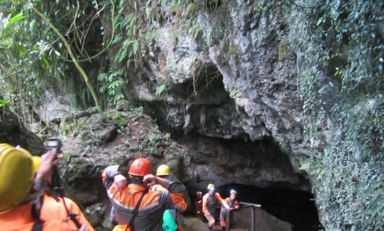 image9 e1733761955621