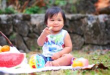 picnic g010d46bc8 1280 e1734880654543