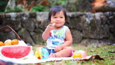 picnic g010d46bc8 1280 e1734880654543