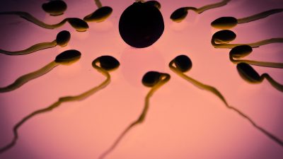 sperm g17d697639 1280 e1678501924481