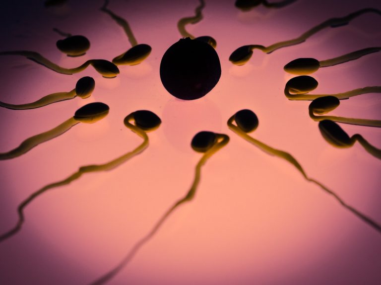 sperm g17d697639 1280 e1678501924481