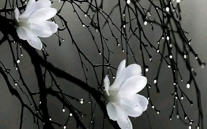 Menyapa Gerimis Bulan April