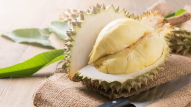 duren e1734621918747