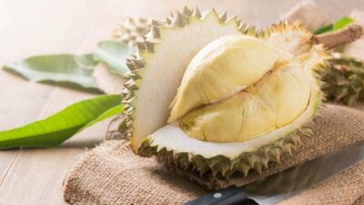 duren e1734621918747