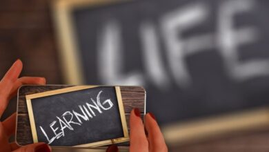 life 5194823 1280 e1733848256807