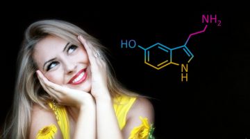 serotonin g62a959703 1280 e1680446248142