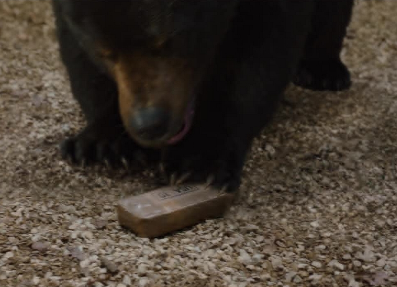 Review Film Cocaine Bear (2023)