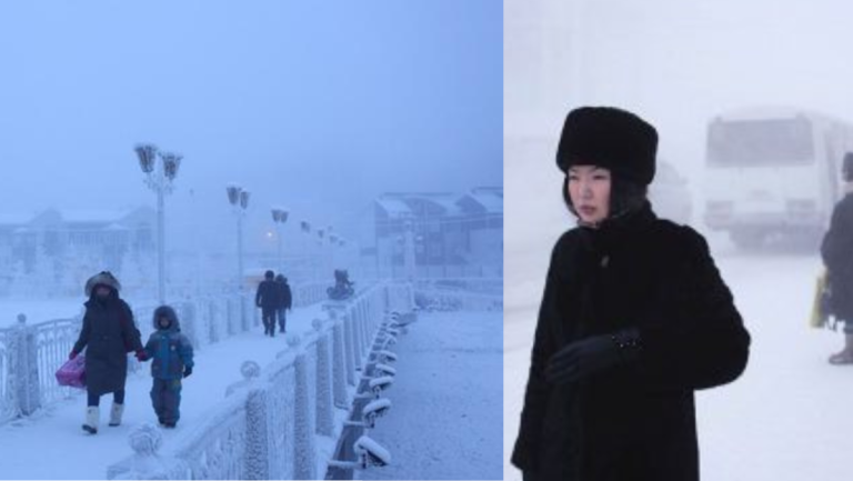 Untitled design 23 e1684227388376