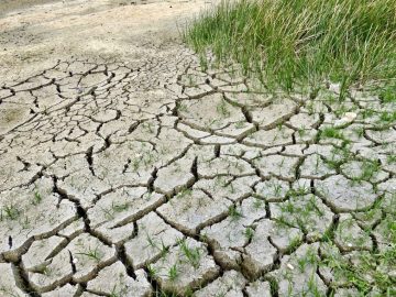 climate change 2241061 1280 e1693119799951