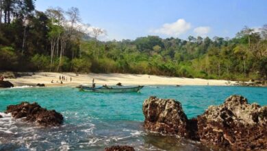 pantai rajagwesi banyuwangi e1734322255975