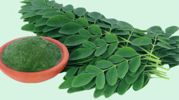 daun kelor 1024x575 1